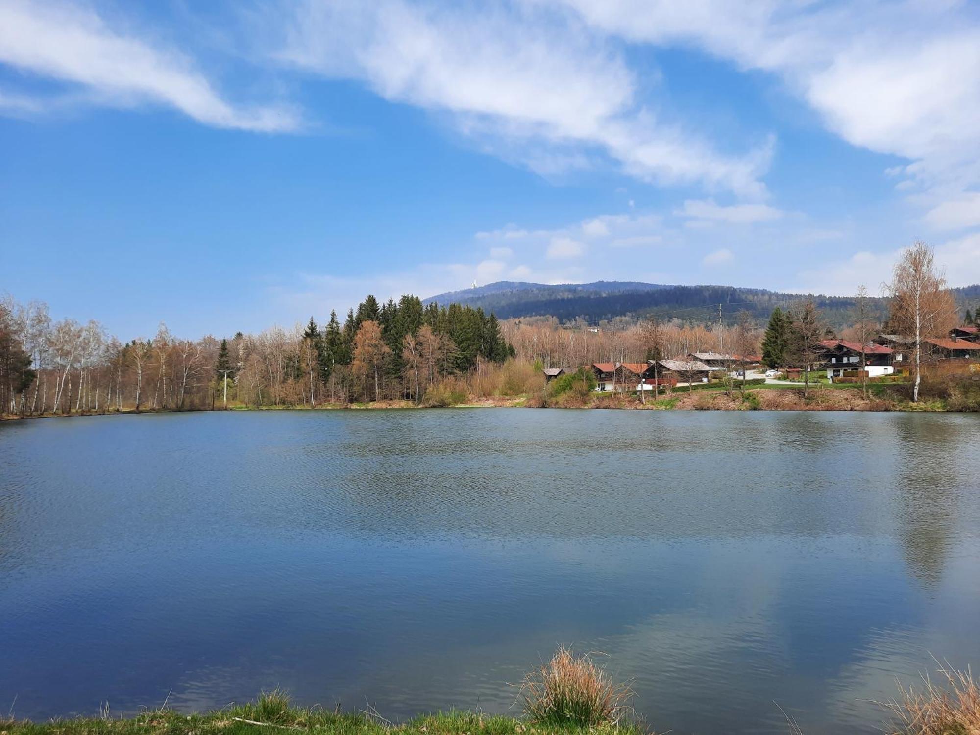 Fewo Bayerischer Wald Im Lamer Winkel Arrach Dış mekan fotoğraf