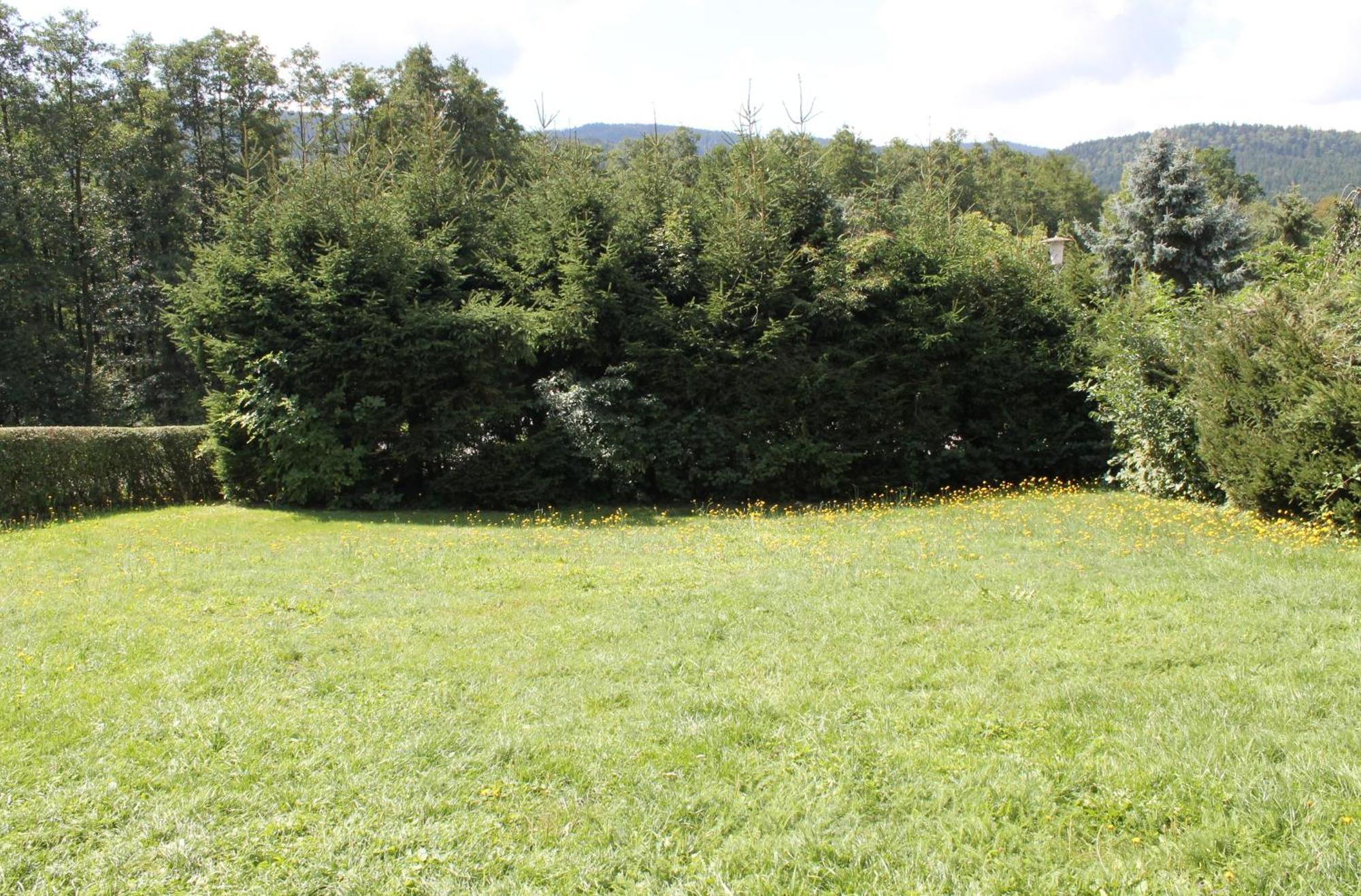 Fewo Bayerischer Wald Im Lamer Winkel Arrach Dış mekan fotoğraf